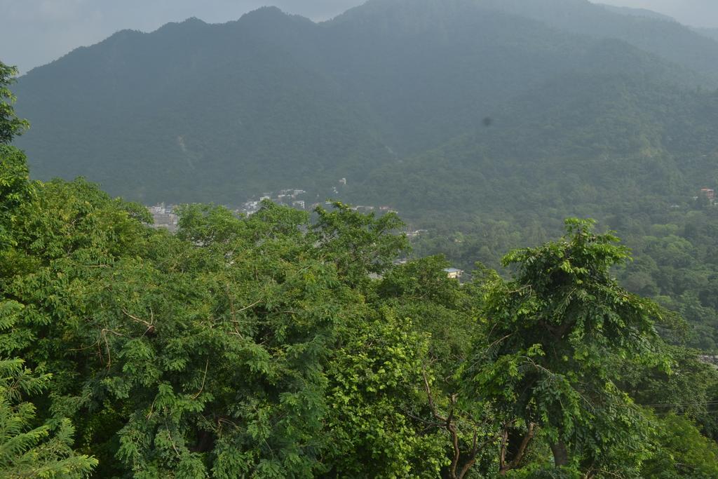 Mount Valley Mama Cottage Rishīkesh Rom bilde